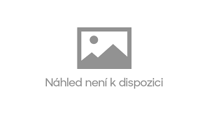 215594070R DEFLEKTOR SANDERO III